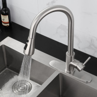Stainless steel kitchen pull faucet