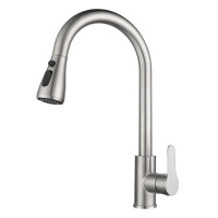 The kitchen sink retractable and swivel