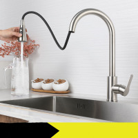 The kitchen sink retractable and swivel