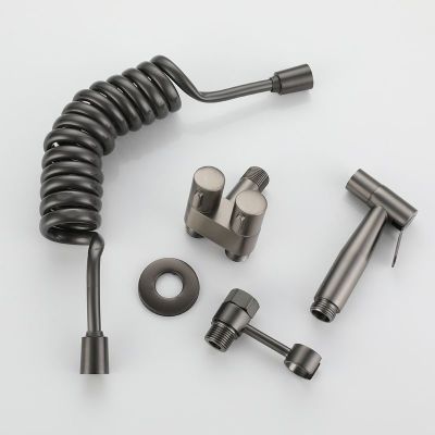 Toilet companion airbrush flusher has many functions