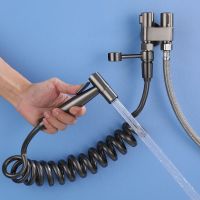 Toilet companion airbrush flusher has many functions