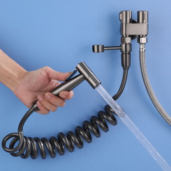 Toilet companion airbrush flusher has many functions