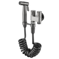 Toilet companion airbrush flusher has many functions