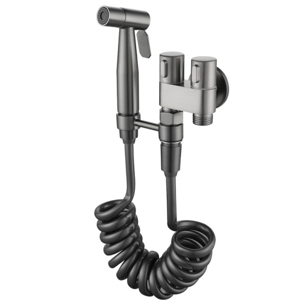 Toilet companion airbrush flusher has many functions
